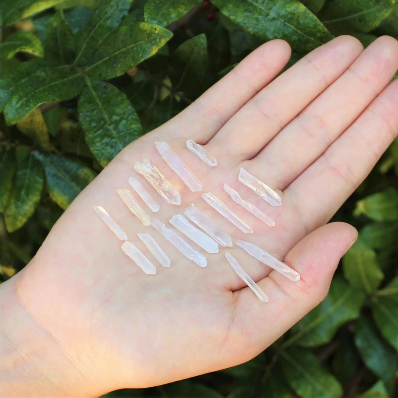 Small Quartz Points, 0.25" - 1.25"/0.64cm - 3.17cm Raw Needle Matchstick Clear Crystals