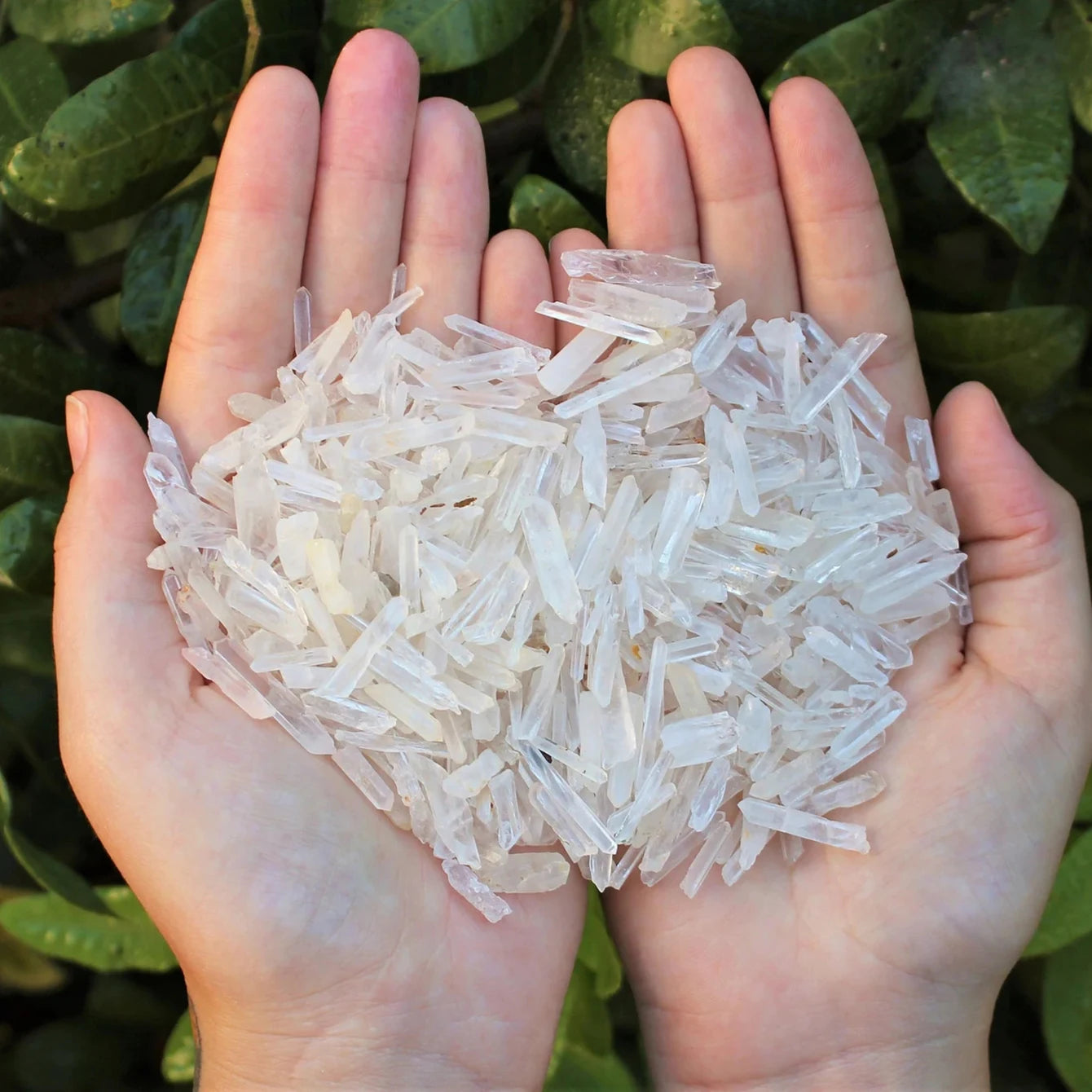 Small Quartz Points, 0.25" - 1.25"/0.64cm - 3.17cm Raw Needle Matchstick Clear Crystals